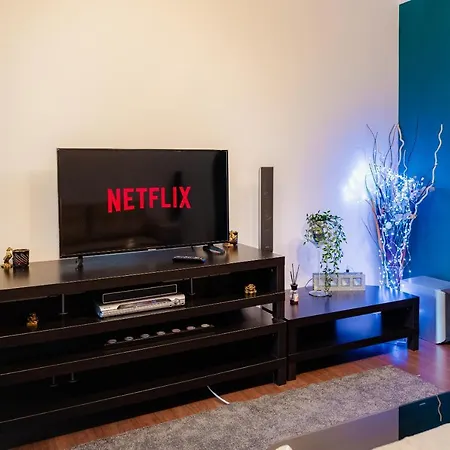 Comfy Apartment With Private Parking And Netflix-2